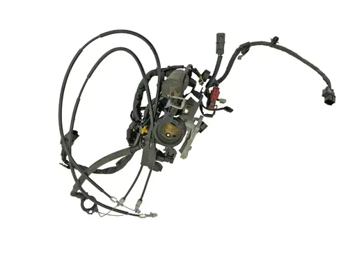 2017 Honda CRF250R Throttle Body and Wiring Harness