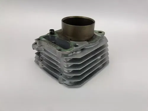 1997 Honda FourTrax 300 Cylinder