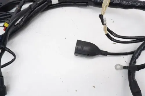2022 MC250F Wire Harness OEM Wiring Loom Wires 79111075000 Gas Gas 250 350 450