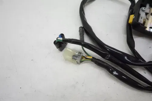 TRX250X Lighting & Starter & Engine Stop Switch Assy. OEM 35150-HN6-A53 Honda EA