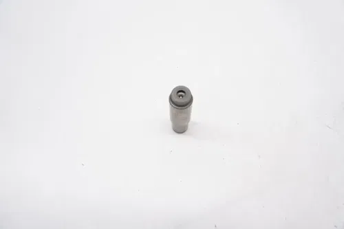 2024 MC250F Timing Chain Tensioner OEM Hydraulic Lifter Gas Gas KTM  Husqvarna