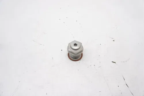 2024 MC250F Timing Chain Tensioner OEM Hydraulic Lifter Gas Gas KTM  Husqvarna