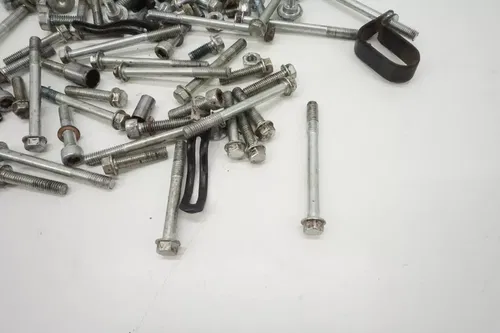 2015 KX250F Miscellaneous Hardware OEM Guard Primary Gear Bolts Kawasaki KX 2015