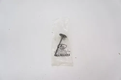 Polaris Kibblewhite Precision Black Diamond Intake Valve, Oversized 82-82463 H3