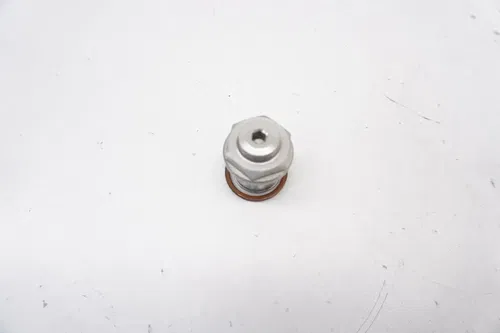 2022 MC250F Timing Chain Tensioner OEM Hydraulic Lifter Gas Gas KTM Husqvarna