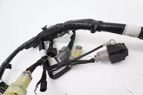 2019 KX450 Main Wire Harness OEM Wiring Loom Wires 26031-2590 Kawasaki 19-20 #2