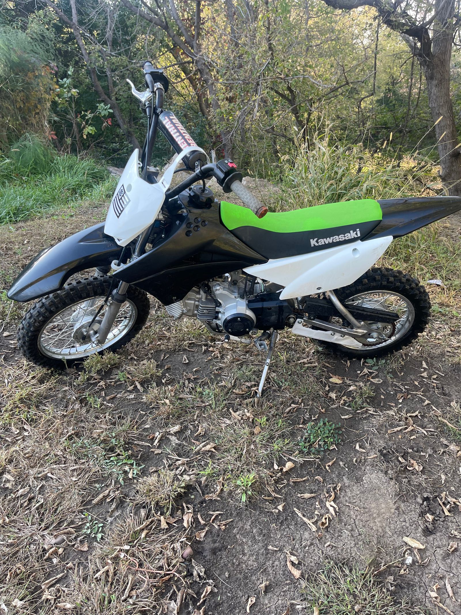 2019 Kawasaki KLX110