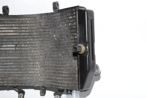 01-02 Suzuki Gsxr1000 Engine Radiator Motor Cooler Cooling Radiater OEM