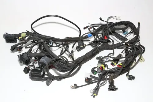 19-22 Ducati  Scrambler Desert Sled Main Engine Wiring Harness Wire Loom OEM