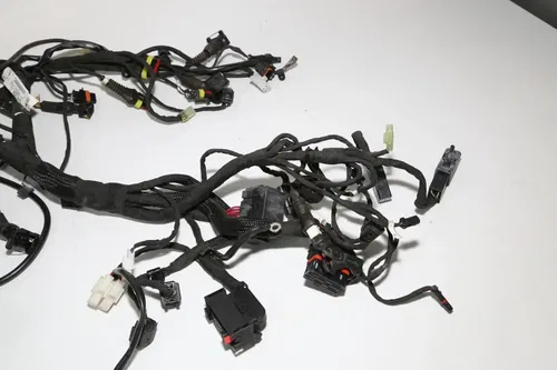 19-22 Ducati  Scrambler Desert Sled Main Engine Wiring Harness Wire Loom OEM