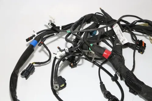 19-22 Ducati  Scrambler Desert Sled Main Engine Wiring Harness Wire Loom OEM