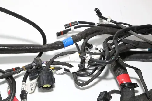 19-22 Ducati  Scrambler Desert Sled Main Engine Wiring Harness Wire Loom OEM