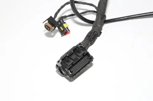 19-22 Ducati  Scrambler Desert Sled Main Engine Wiring Harness Wire Loom OEM