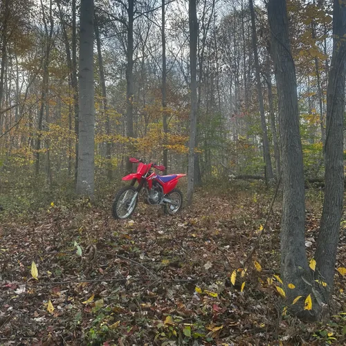 Honda CRF250F