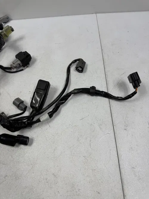 2024 kx250 oem main wiring harness loom 19-24 kx 250 250x 26031-3895