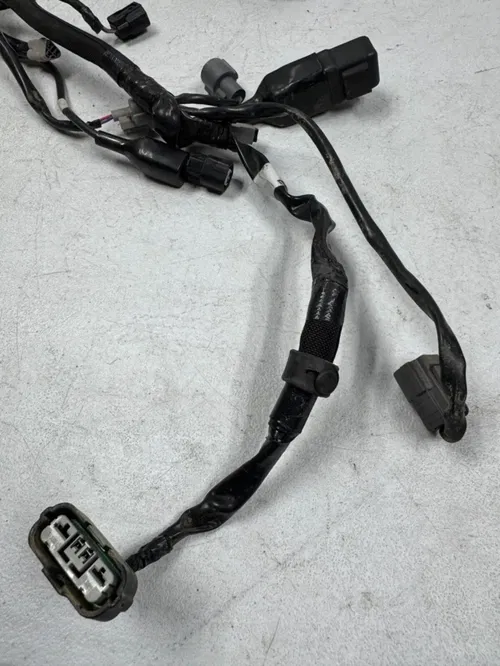 2024 kx250 oem main wiring harness loom 19-24 kx 250 250x 26031-3895