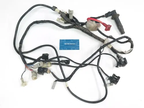 2005 Yamaha WR250F OEM Main Wire Harness, Relay, Ignition Coil (Wiring)