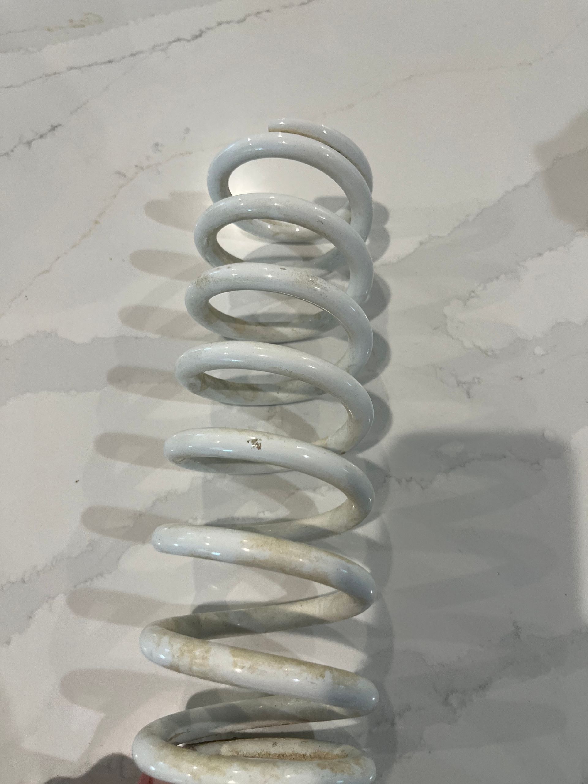 WP Rear Spring 