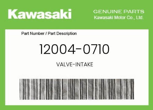 OEM Kawasaki Intake Valve - KLX110/L