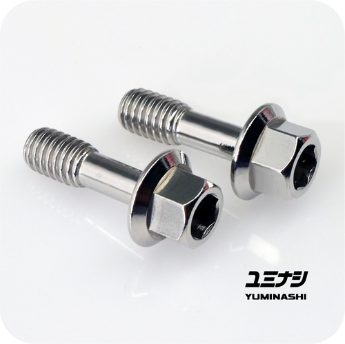 Throttle Body Mounting Bolts