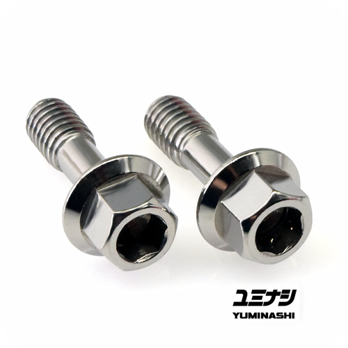 Throttle Body Mounting Bolts