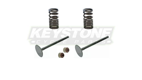 Kawasaki KLX110 Complete OEM Replacement Valve Kit