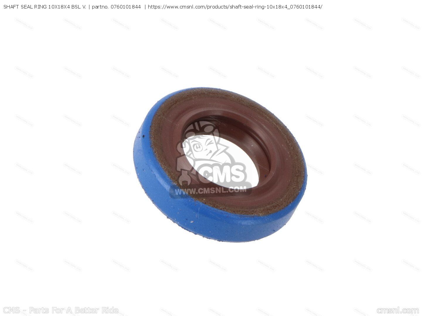 SHAFT SEAL RING 10X18X4 BSL V.