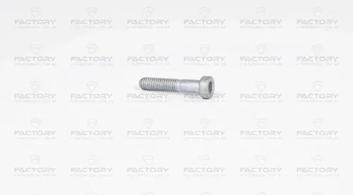 KTM Husqvarna GasGas AH Screw DIN6912 M6x30  OEM 0012060303