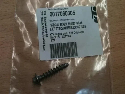KTM Husqvarna GasGas Special Screw K60x30  SW6  OEM 0017060305